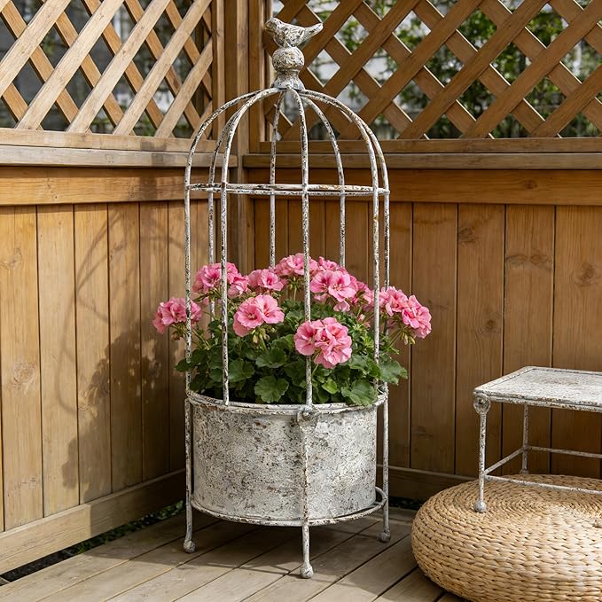 Rustic Vintage Birdcage Planter on Stand Farmhouse Distressed Decorative Metal Round Plants Holder Flower Pot with Latch Lock Closure for Garden Patio Yard Home Outdoor Balconies Decor