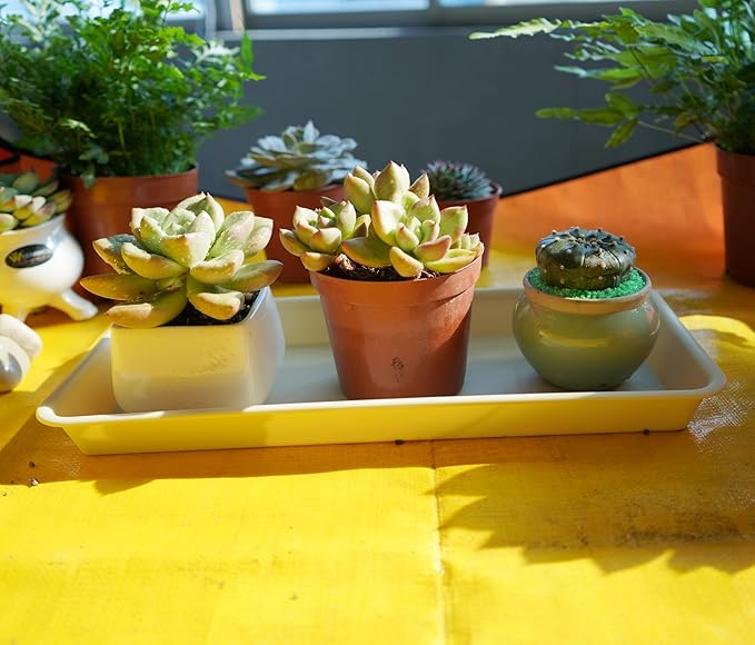4 Pack of Plastic Plant Tray Saucer Rectangular 16 inch, Plant Trays Saucers for Indoors Outdoor, Plant Water Drip Tray for Flower Pot Planter, Windowsill Plant Tray (7.0 X 16.1'', Beige)