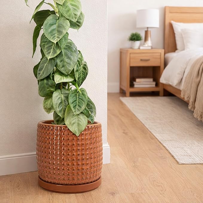 D'vine Dev 10 Inch Ceramic Beaded Stoneware Planter Pot - Flower Pot with Drainage Holes and Saucers for Indoor Succulent Plants or Flowers, Pumpkin, 27-C-P-J