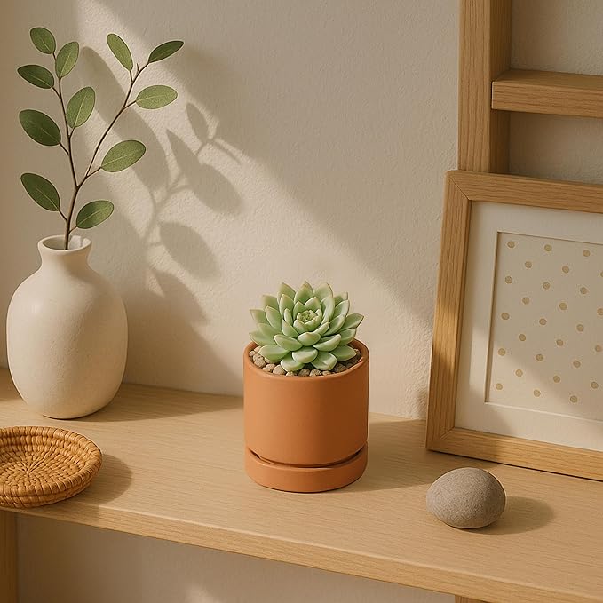 D'vine Dev XX-Small 3 Inch Terracotta Plant Pot with Drainage Hole and Saucer, Round Cylinder Planter Pot for Indoor Plants, Set of 2, 40-X-B-0