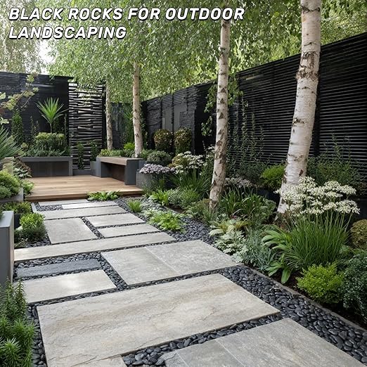 16lb Black River Rocks, 1-2 Inch Pebbles for Indoor Plants, Natural Polished Aquarium Gravel, Decorative Rocks for Outdoor Landscaping, Succulent, Garden, Vases Fillers, Bird Baths
