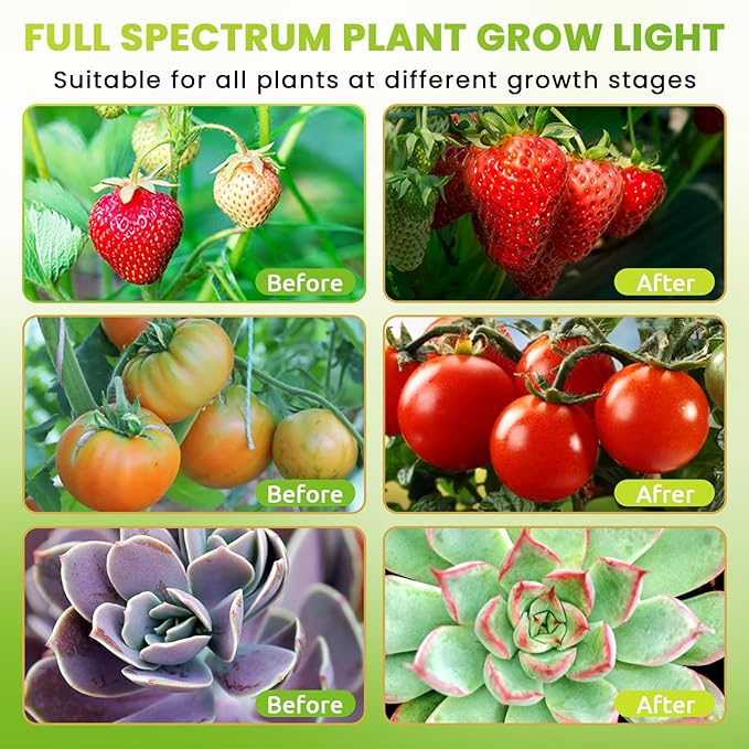 Bseah Grow Light Plant Lights for Indoor Plants, Clip on with 3/9/12 H Timer, Full Spectrum Growing Lamp for Seed Starting (with AC Adapter)