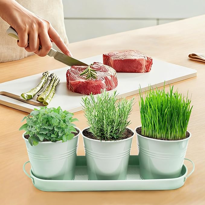 TCBWFY Indoor Herb Garden Planter Set, 3-Pack 4.7 Inch Green Metal Plant Pots with Drainage Holes & Removable Tray, Windowsill Planter for Kitchen Countertop, Balcony, Office