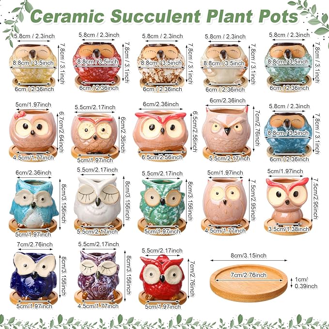 Cindeer 18 Pcs 2.5 Inch Owl Ceramic Succulent Planter Pots Mini Small Ceramic Pots with Drainage Hole and Bamboo Tray for Succulents Glaze Cactus for Home Garden Office Desk Decoration Gift Ideas