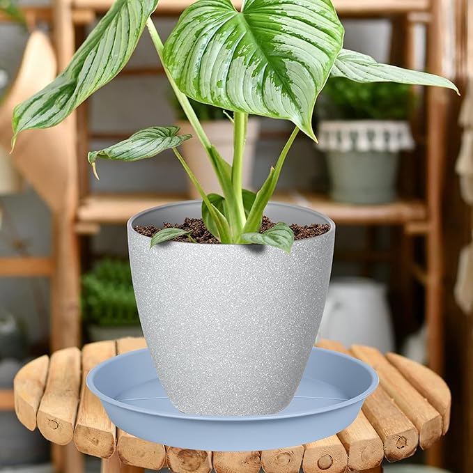 6 Pack of Plant Saucer Tray 4 6 8 10 12 14 17 19 22 25 inch, Heavy Duty Plastic Pot Plant Drip Trays Saucers for for Indoors Outdoor, Plant Water Tray for Planters 4-7" (6", Light Gray)
