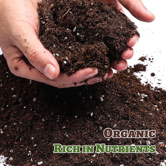 Organic Strawberry Soil Mix 2qt, Indoor Plants Potting Mix for All Potted Strawberry, Grow Healthy houseplants Indoors