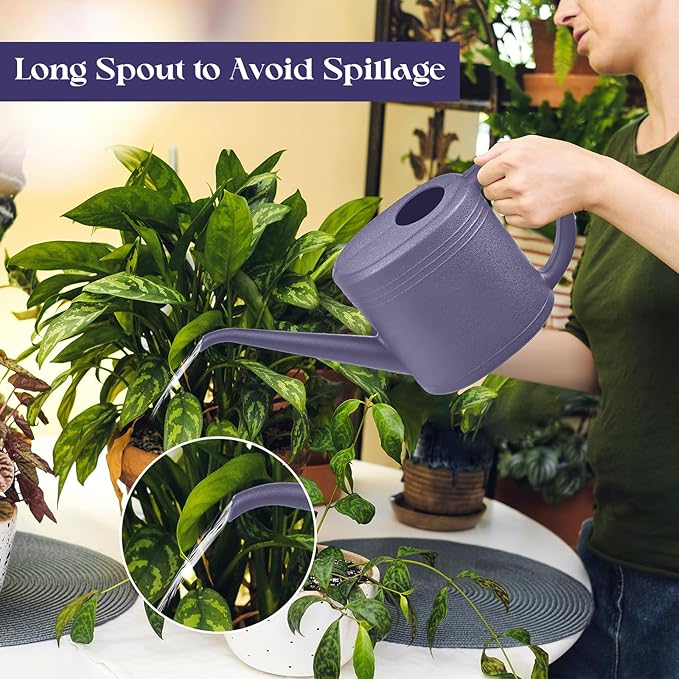 Watering Can for Garden Indoor Plants Outdoor Plant House Flower - 1/4 Gallon - Purple
