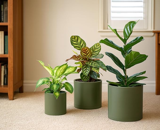 D'vine Dev 6.5 Inch 8 Inch 10 Inch, Set of 3 Plastic Planter Pots for Plants with Drainage Hole and Seamless Saucer, Olive, Large, 74-V-I-4