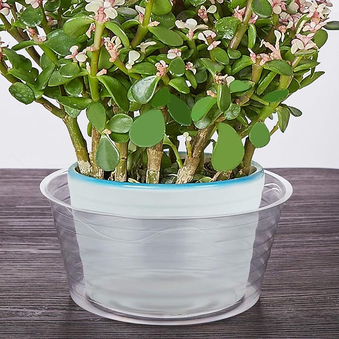 Idyllize 10 Pieces of 10 Inch Clear Thin Deep Plastic Plant Saucer Drip Tray for Pots (10'')