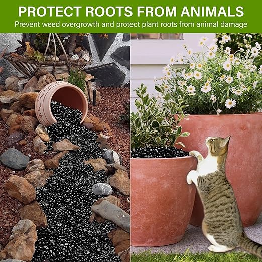 NUPICK 3lb River Rocks for Plants Indoor, 3/8 Inch Black Pebbles for Vases Fillers, Decorative Pea Gravel for Fish Tank, Natural Polished Stones for Succulent, Bonsai, Landscaping, Bird Baths