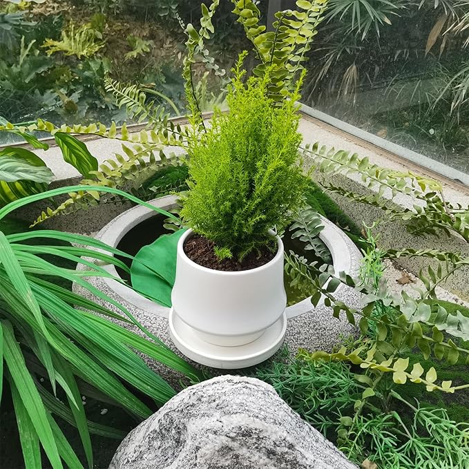 Ceramic Plant Saucer 5 Inch, 2 Pack Round Plant Saucers for Indoors/Outdoors, Flower Pot Saucers for Holding Water Drips and Soil, Ceramic Drainage Tray for Plant Pot(Frosted White)