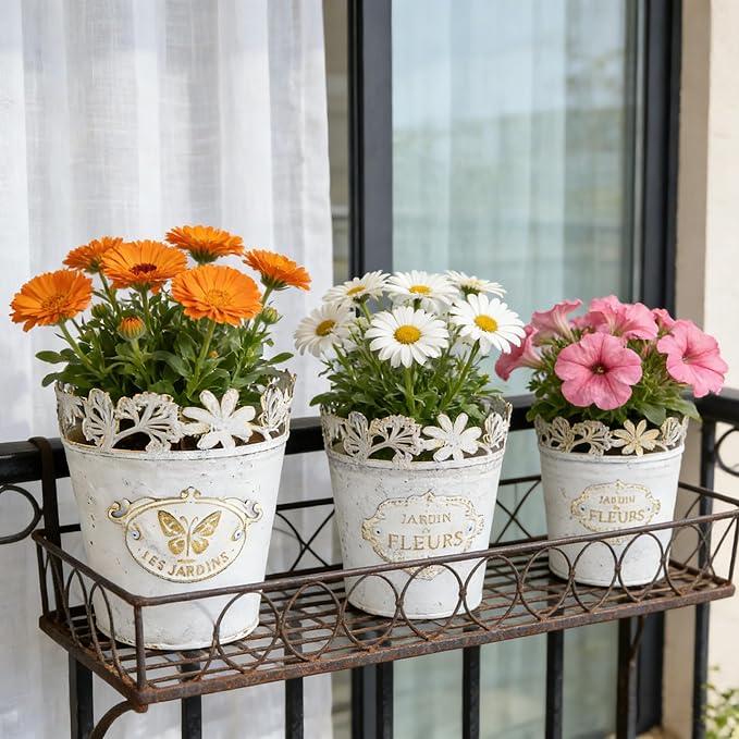 Set of 3 Vintage French Country Planters, Distressed White Metal Flower Pots with Lace Cutout Rim, Le Jardin Embossed Plant Pots for Succulents, Herbs, Indoor Outdoor Home Garden Decor