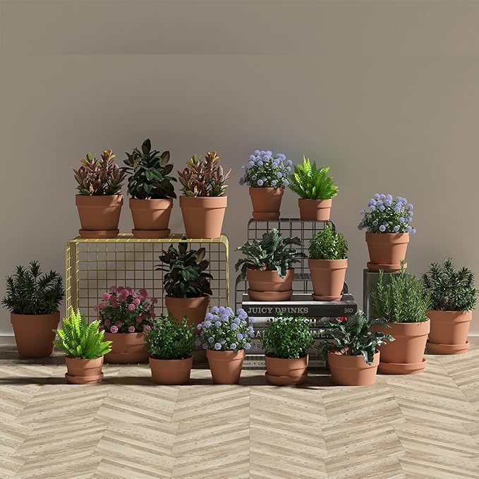Fcacti 10 Inch Large Terracotta Pots with Saucer/Tray - 2 Pack Large Clay Pot for Plant with Drainage Hole, Terra Cotta Planter for Indoor Outdoor Plant,Balcony Garden Patio Deck