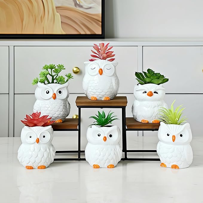Cute Owl Ceramic Succulent Garden Pots, Planter with Drainage and Attached Saucer, Set of 6, Desk & Home Décor -Plants Not Included