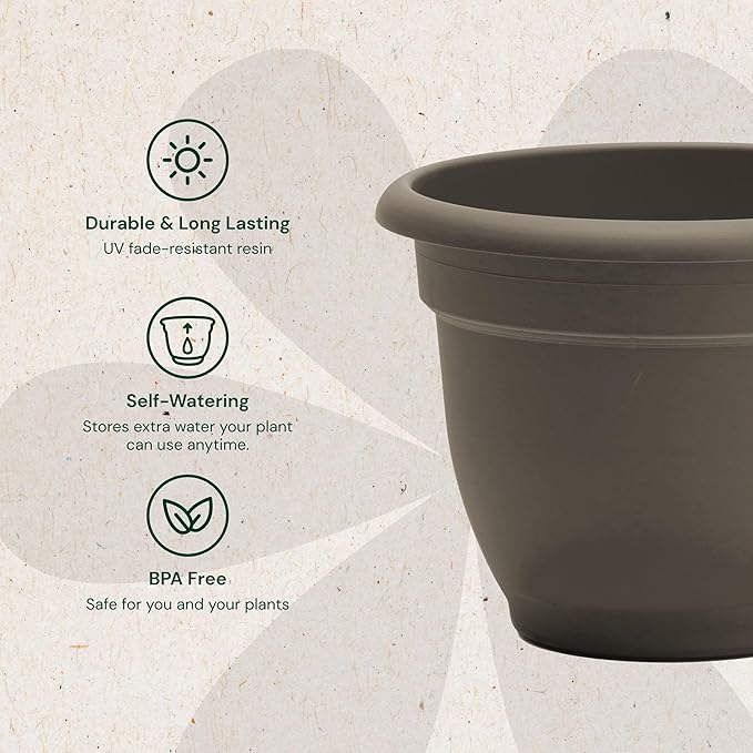 Bloem Ariana 10" Peppercorn Round Self-Watering Resin Planter Pot - Rolled Rim Indoor and Outdoor Gardening Planter