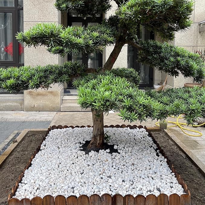 20 lbs White Rocks for Landscaping, 2-3 Inch Large River Rocks. Decorative Pebbles for Plants Indoor, Vases, Aquariums Gravel, Crafting and Garden
