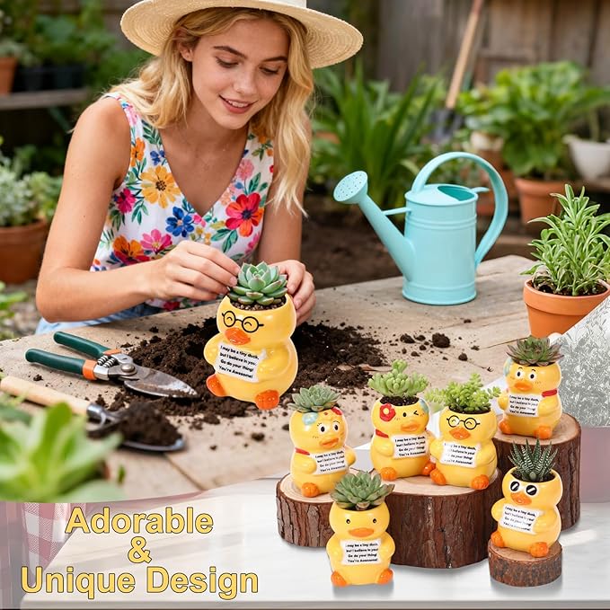 Roshtia 6 Pack 2.5 Inch Duck Ceramic Succulent Planter Pots with Drainage Hole, Mini Cute Flower Pots Container for Home Office Garden Decoration Emotional Support Buddies Christmas Housewarming Gifts
