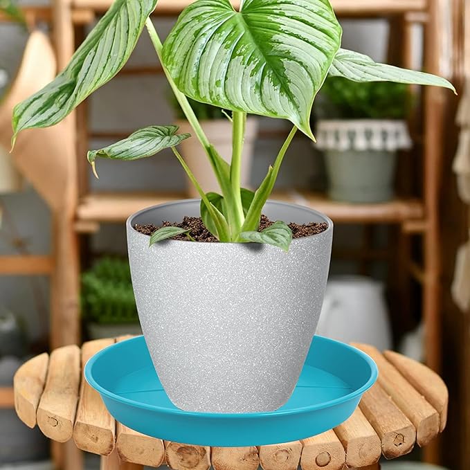 6 Pack of Plant Saucer Tray 7 8 inch, Heavy Duty Plastic Pot Plant Drip Trays Saucers for for Indoors Outdoor, Plant Water Tray for Planters 7-9" (8", Light Blue)