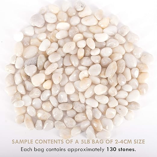 5 lbs Approx. 130 White River Rocks Stones for Plants Pebbles for Indoor Plants | Aquarium Fish Tank Rocks | Polished Decorative Rocks for Vases (0.8-1.6 Inches)