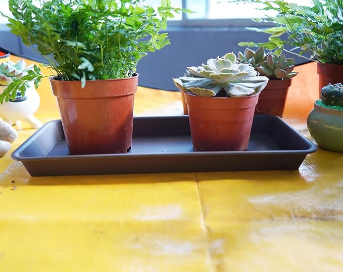 6 Pack of Plastic Plant Tray Saucer Rectangular 14 inch, Plant Trays Saucers for Indoors Outdoor, Plant Water Drip Tray for Flower Pot Planter, Windowsill Plant Tray (6.8 X 14.5'', Brown)