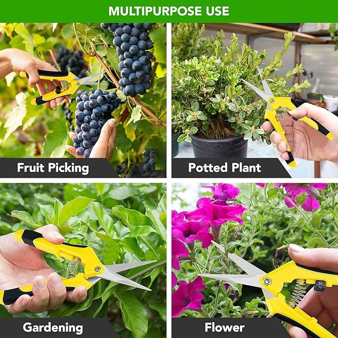 iPower 6.5 Inch Gardening Scissors Hand Pruner Pruning Shear for Gardening and Trimming, Heavy-Duty, Ultra Sharp Stainless Steel, Yellow, 3-Pack