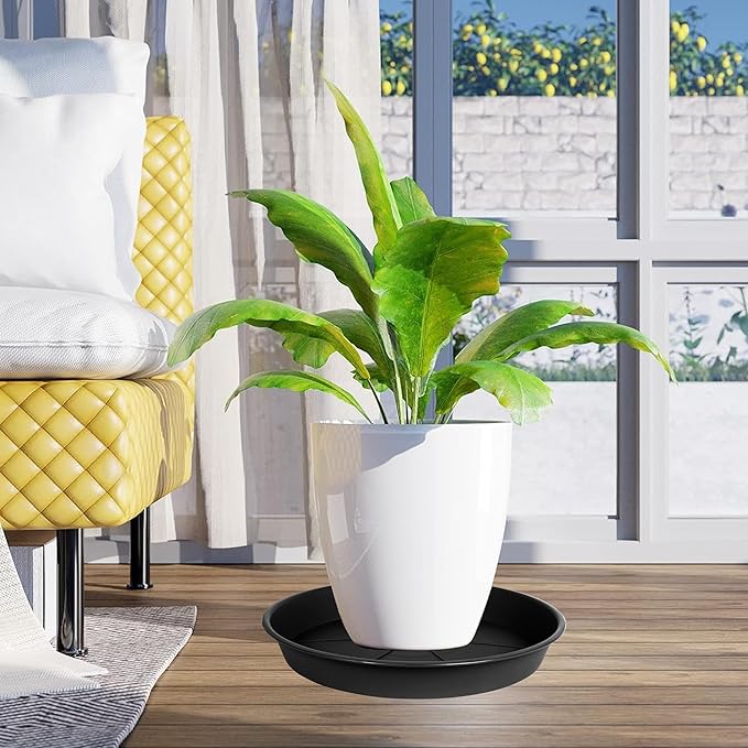 6 Pack of Plant Saucer Tray 7 8 inch, Heavy Duty Plastic Pot Plant Drip Trays Saucers for Indoors Outdoor, Plant Water Tray for Planters 7-9" (8", Black)