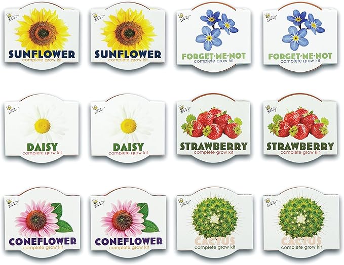 BUZZY Seeds Terracotta Mini Grow Pots 12-Pack – All-in-One Flower Kits with Growing Medium, Sunflower, Daisy, Coneflower, Strawberry, Forget-Me-Not, and Cactus Seeds, DIY Plant Starter Collection