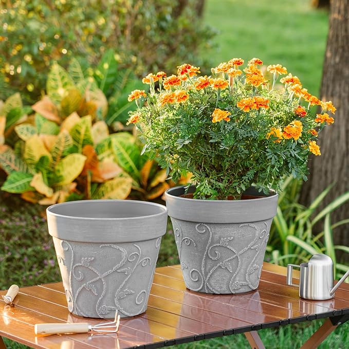 Melphoe Plant Pots Indoor with Drainage & Saucer, 2Pack 10 inch Flower Pots Outdoor Planters for Indoor Plants Garden Home Decor Cactus Succulent, Rigid Plastic (Imitation-Terracotta) Vine-Embossed
