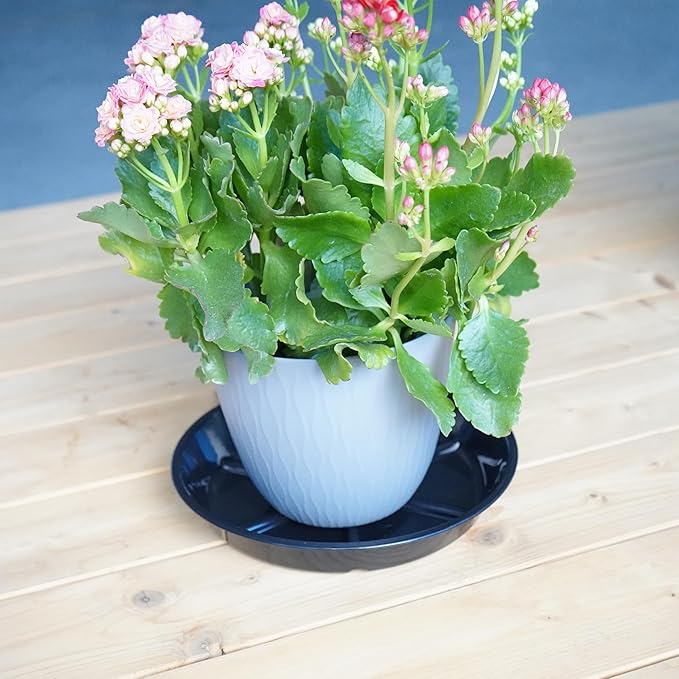 2 Pack of 12 Inches Plant Saucers for Indoor, Durable Plant Saucer Pot Tray, Round Plastic Flower Plant Dish Pant Plate to Catch Water, Black