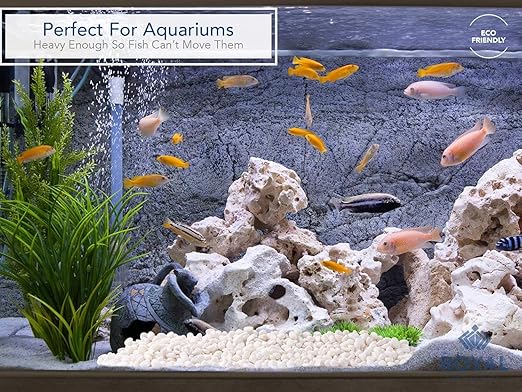 River Rocks Decorative Ornamental Vase Filler Aquarium Gravel White, Small 30 lbs - Landscaping Pebbles for Indoor Plants, Fish Tank, Terrarium & Home Decor, DIY & Crafting – Royal Imports