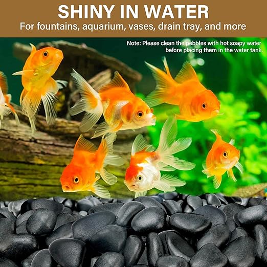 3lb Black River Rocks for Plants Indoor, 2-3Inch Pebbles for Vases Fillers, Decorative Gravel for Fish Tank, Natural Polished Stones for Succulent, Bonsai, Landscaping, Bird Baths