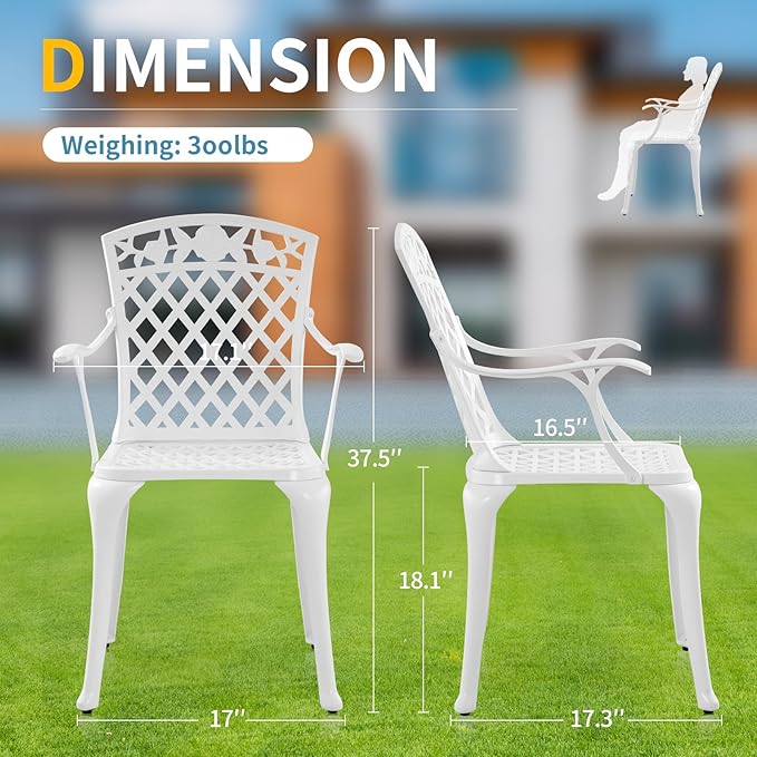 Sturdy Patio Chairs Cast Aluminum Outdoor Dining Chairs with Armrest, Outdoor Bistro Seating Chair for Garden, Backyard - 2 Pack, White
