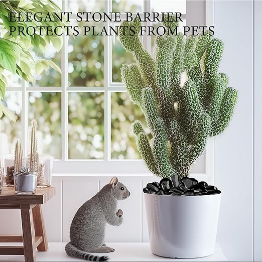 18lb Black River Rocks for Plants, 1-3 Inch Pebbles for Indoor Plants, Polished Garden Rocks Outdoor Landscaping, Decorative Stones for Vases, Succulents, Aquarium, Walkways