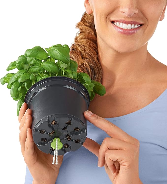 Lechuza Cube Color 16 Slate, Self-Watering Indoor Small Plant Pot, H6.3 L6.7 W6.7 in