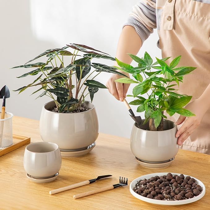 vancasso 3-Pack Ceramic Plant Pots, 3.7/4.8/6.2 Inch Indoor Planters with Saucers & Drainage Hole Planter pots for Indoor Plants and Flower, Gray