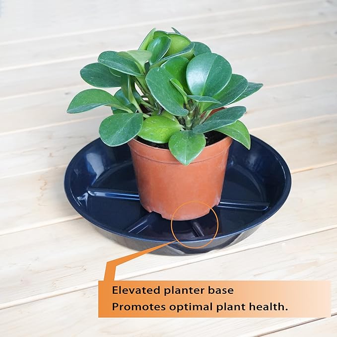 6 Pack of 8 Inches Plant Saucers for Indoor, Durable Plant Saucer Pot Tray, Round Plastic Flower Plant Dish Pant Plate to Catch Water, Black