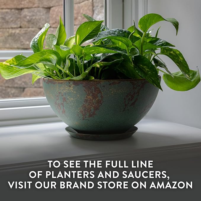 Classic Home and Garden Rosie Modern Planter w/Drainage - Contemporary Planter Bowls - Shallow Round Vases for Small Plants - Versatile Indoor & Outdoor Pots (10” Lava Red)