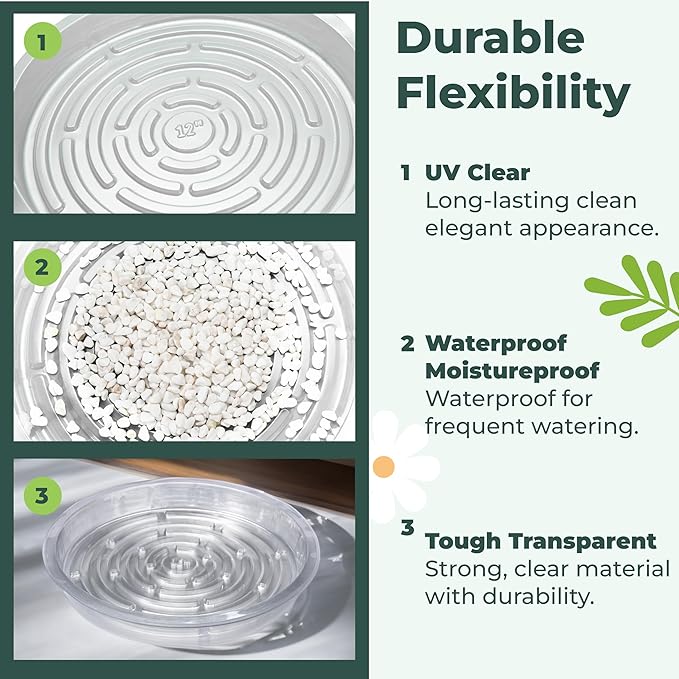Window Garden 12" Plant Saucer - Plastic Plant Trays for Indoor and Outdoor - Clear Flower Pot Drip Trays - Drainage Base - Water Tray for Pots Indoors - Planter Saucers for Potted Plants - Set of 6