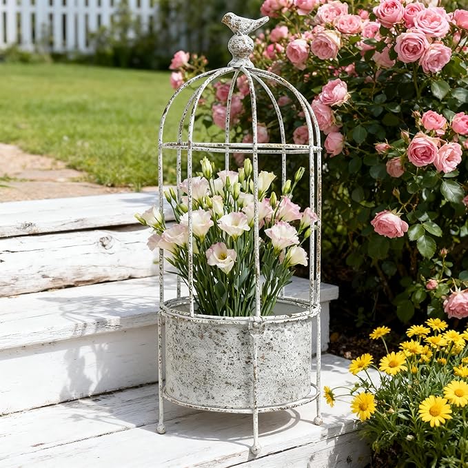 Rustic Iron Birdcage Planter Stand Vintage Metal Planter Holder Distressed Decorative Flower Pot with Latch Lock Closure for Climbing Plants Garden Patio Balcony Outdoor Indoor Decor (styel#2)