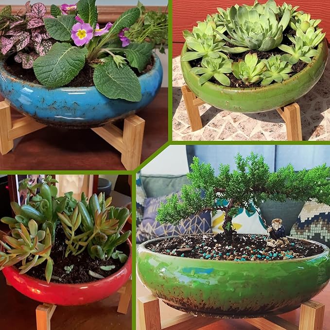 Succulent Planters, Large Succulent Pots with Drainage Bamboo Trays Colorful Bonsai Pots with Stand Ceramic Flower Pot Set of 2, Round Cactus Pot for Indoor Plants (7.3 and 10'')