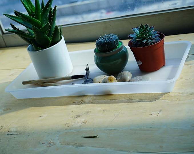 2 Pack of Plastic Plant Tray Saucer Rectangular, Plant Trays Saucers for Indoors Outdoor, Plant Water Drip Tray for Flower Pot Planter, Windowsill Plant Tray (6.5 X 13 Inch, Clear)