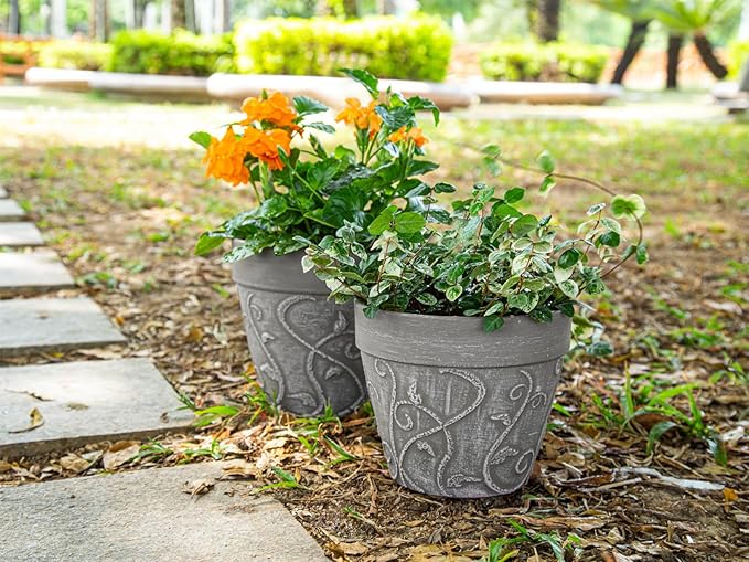 Melphoe Plant Pots Indoor with Drainage & Saucer, 2Pack 8 inch Flower Pots Outdoor Planters for Indoor Plants Garden Home Decor Cactus Succulent, Rigid Plastic (Imitation-Terracotta) Vine-Embossed