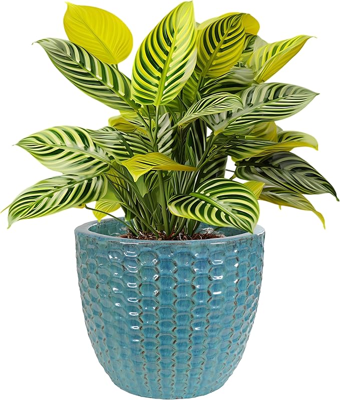 Sunnydaze 14" Raised Hexagon Pattern Glazed Ceramic Plant Pot - Features 1 Drainage Hole - 1.75 Gal Soil Capacity - Turquoise
