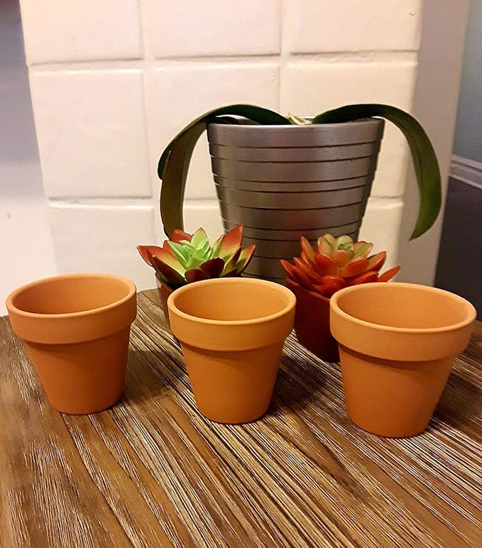 Black Duck Brand Set of 16 Terra Cot Pot Planter 2-1/2" x 2-1/2" Lawn & Garden Mini Flower Pots - 2.5" x 2.5" Terra Cotta (16)