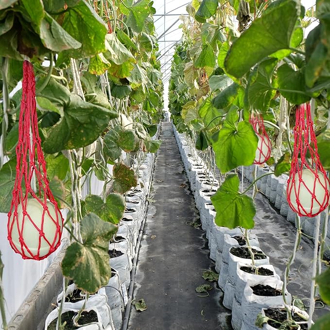 12 Pack Melon Hammocks Cradles with S Hanging Hooks, Heavy Duty Watermelon Nets Melon Hammock for Trellis Pumpkin Hanging Bags for Growing Cantaloupe Pumpkin in Vertical Garden (Red, 12)
