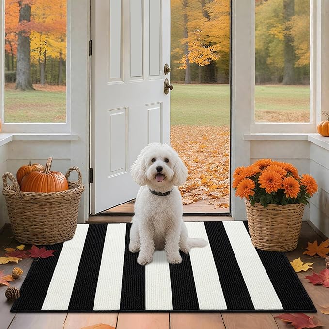 Timo Black and White Outdoor Rug,32"x48" Front Porch Rug Absorbent Rubber Backed Non Slip Striped Rug Machine Washable Indoor/Outdoor Area Rug Front Door Floor Mat for Farmhouse/Living Room/Entryway