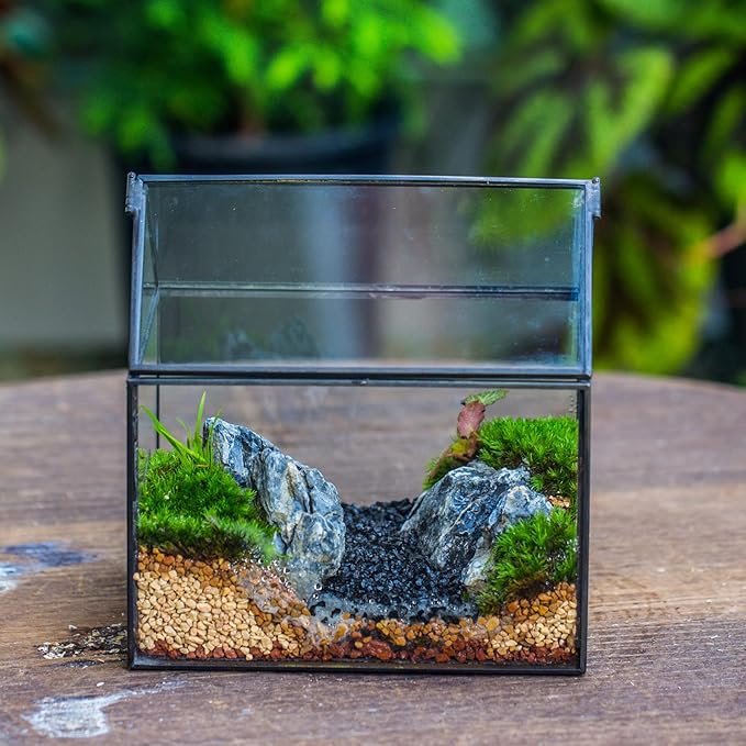 NCYP Small Glass Terrarium with Lid for Plant Succulent - 6.1 X 4.33 X 6.3 Inches - House Shape Flower Pot, Garden Tabletop Decor Planter, Geometric Centerpiece, Black (No Plants)