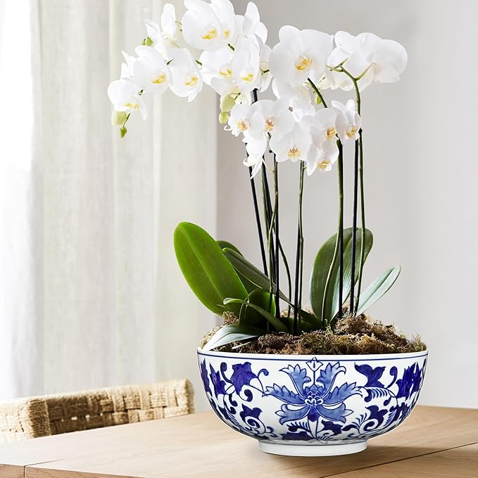 Hollyone Blue and White Vase Porcelain Planters 9 Inch Garden Bowl Modern Ceramic Pots Classic Chinese Floral Vase for Indoor Outdoor Succulents Bonsai Fairy Gardens Herbs