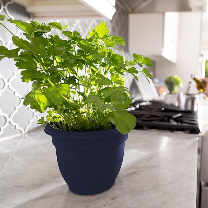 Bloem Ariana 8" Navy Round Self-Watering Resin Planter Pot - Rolled Rim Indoor and Outdoor Gardening Planter