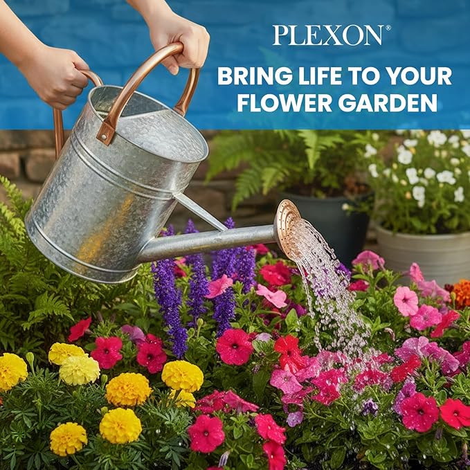 Plexon Large Metal Watering Can Outdoor 2 Gallon, Plant Flower Gardening Garden Watering Can Pot, Bronze Galvanized Steel Handles and Removable Spray Spout, Silver